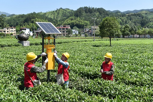 传承红色基因汲取奋进力量</p><p>　　改革创新争当排头勇立潮头